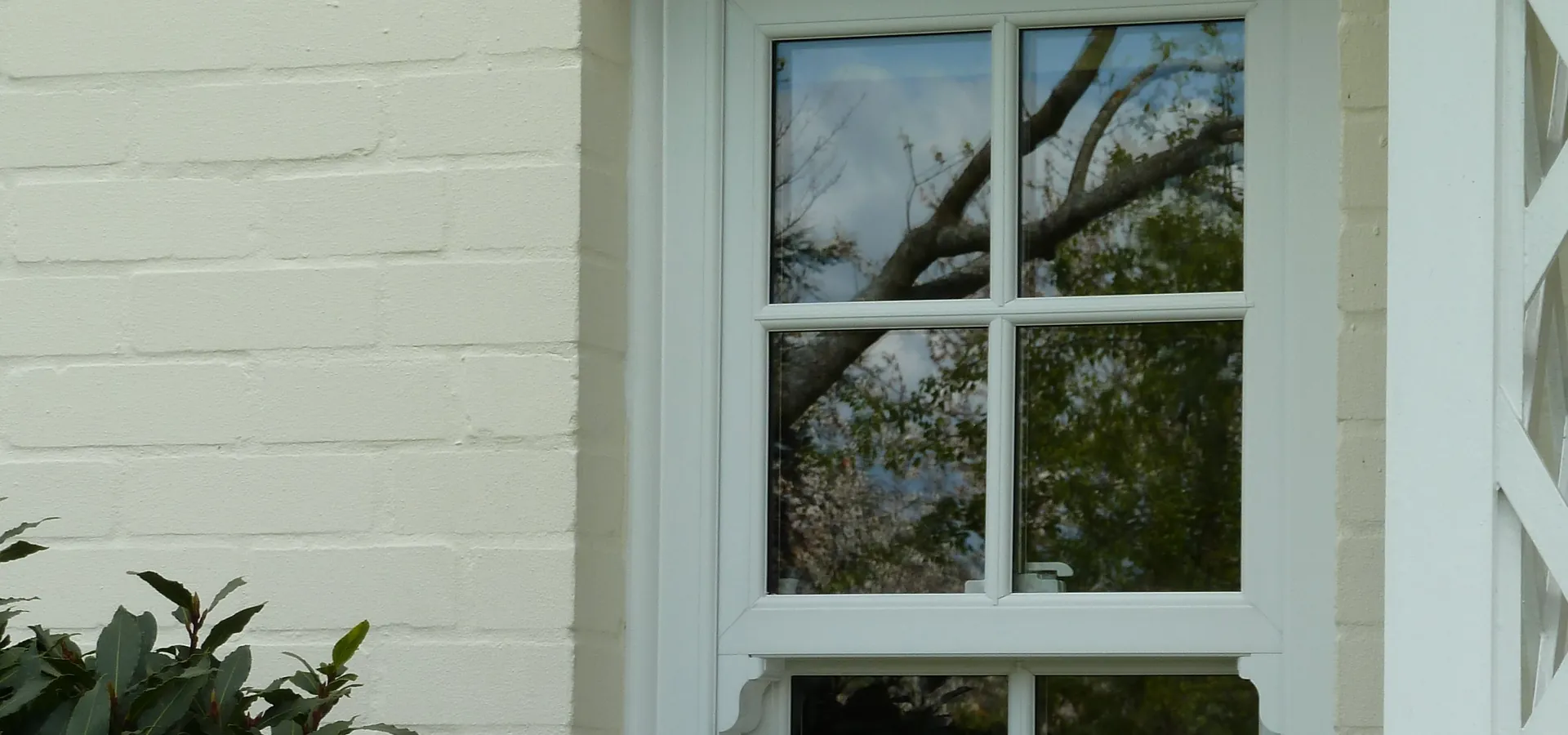 Sash Windows Lee