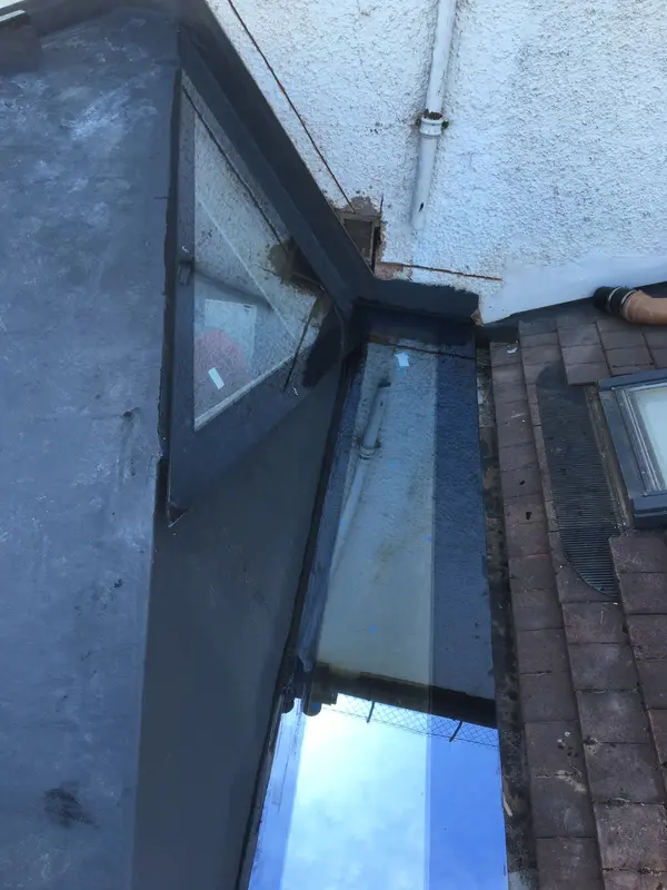Skylights Lee